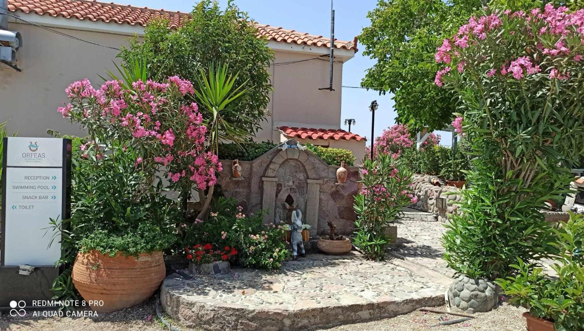 Orfeas Studios Molivos Μήθυμνα Εξωτερικό φωτογραφία